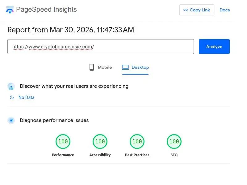 score 100 in PageSpeed Insights